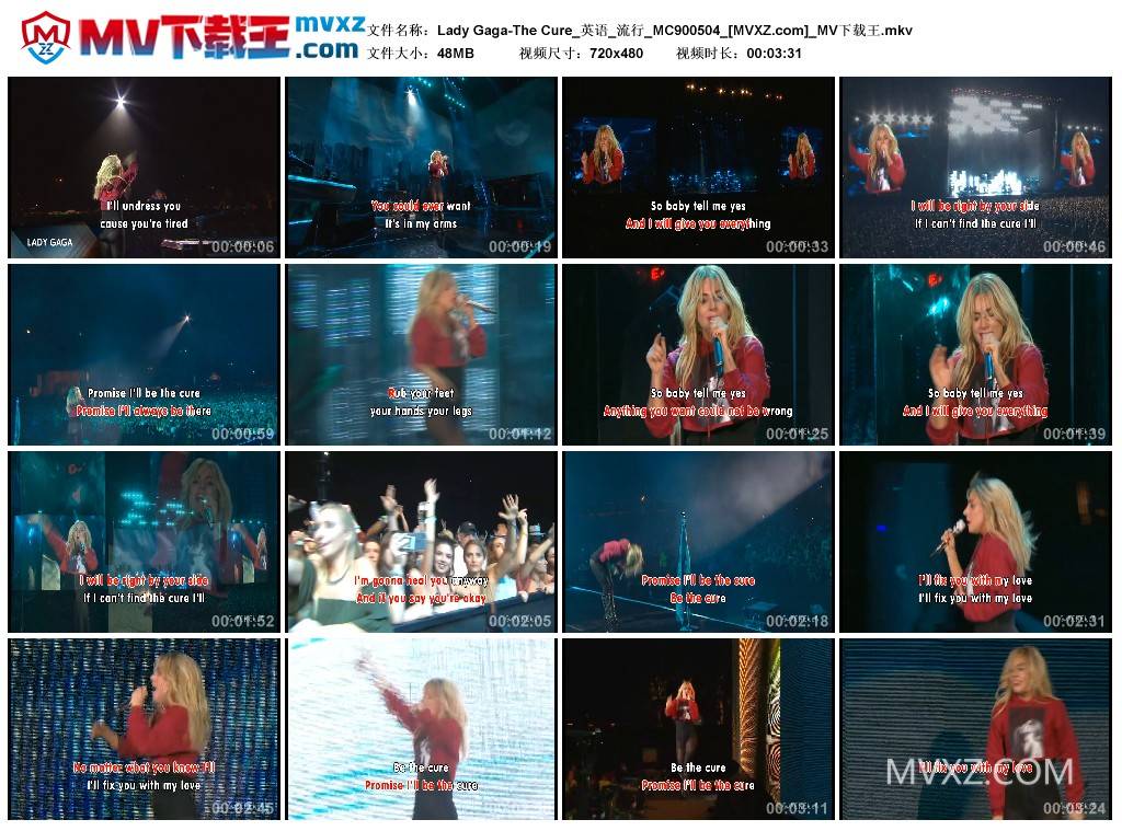 Lady Gaga-The Cure_英语_流行_MC900504